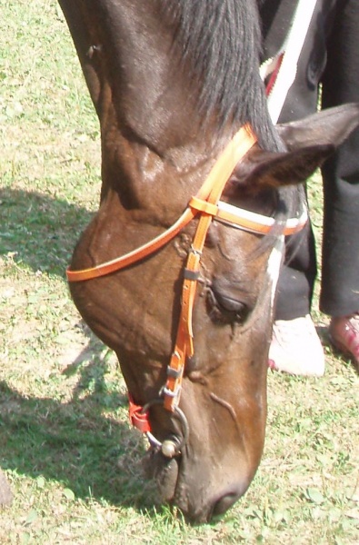 detail_lizunnn.jpg