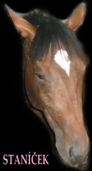 detail_stanicek.jpg