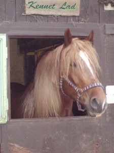 Obrazek