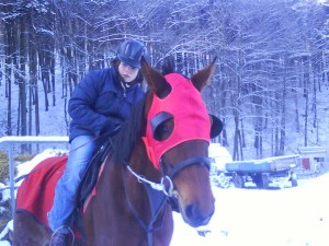Obrazek
