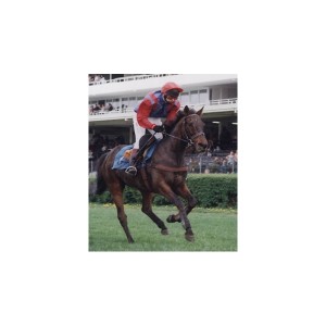 Obrazek