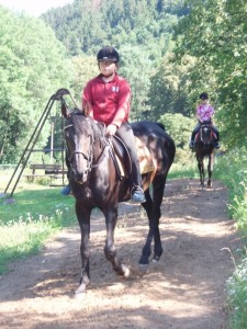 Obrazek