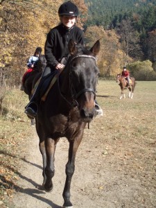 Obrazek